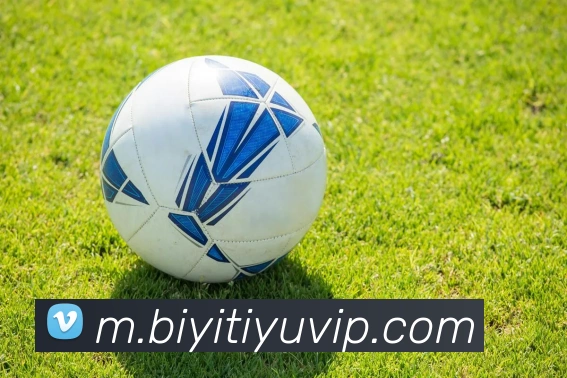 必一体育APP 封面图