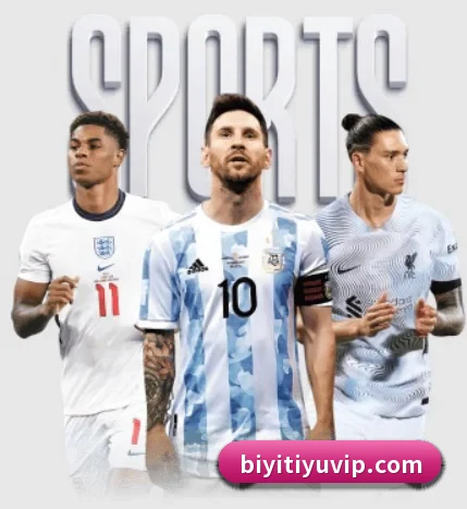 必一体育 APP(BSports)