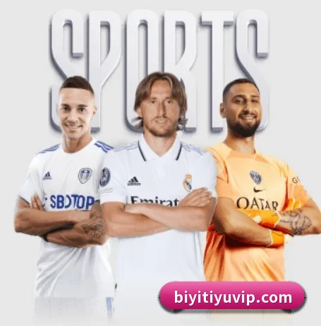 必一体育 APP 界面(BSports)