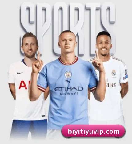 必一体育的方向 - BSports